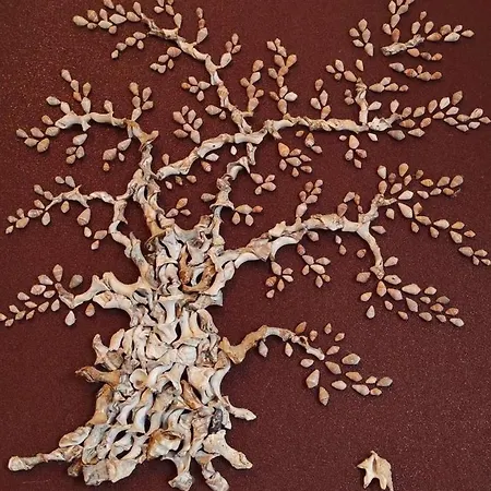 Olive Tree * Kaštela